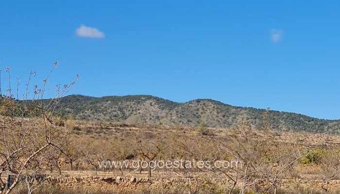 Resale - Plot - Land - Yecla - Yecla Centro