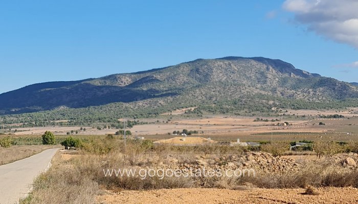 Resale - Plot - Land - Yecla - Yecla Centro