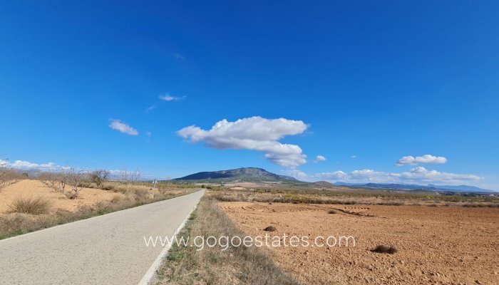 Resale - Plot - Land - Yecla - Yecla Centro