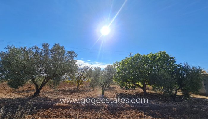 Resale - Plot - Land - Yecla - Yecla Centro