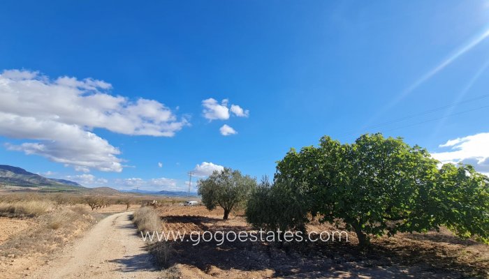 Resale - Plot - Land - Yecla - Yecla Centro