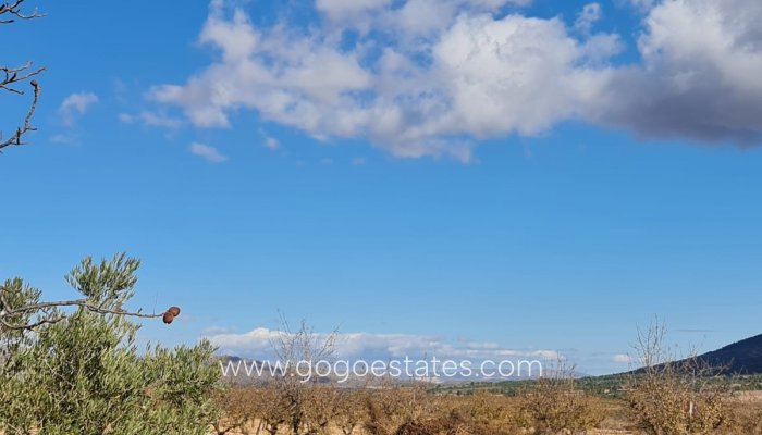 Resale - Plot - Land - Yecla - Yecla Centro