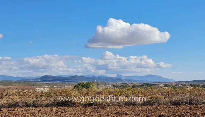 Resale - Plot - Land - Yecla - Yecla Centro