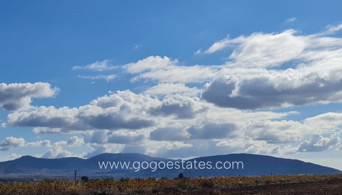 Resale - Plot - Land - Yecla - Yecla Centro