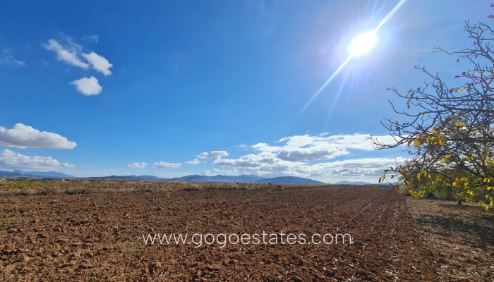 Resale - Plot - Land - Yecla - Yecla Centro