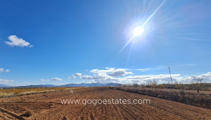 Resale - Plot - Land - Yecla - Yecla Centro