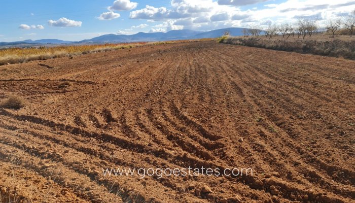 Resale - Plot - Land - Yecla - Yecla Centro