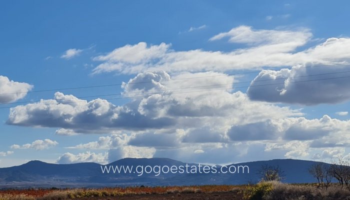 Resale - Plot - Land - Yecla - Yecla Centro