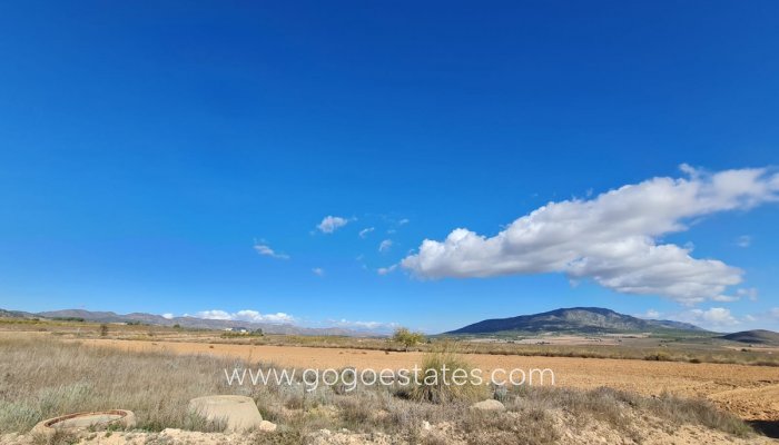 Resale - Plot - Land - Yecla - Yecla Centro