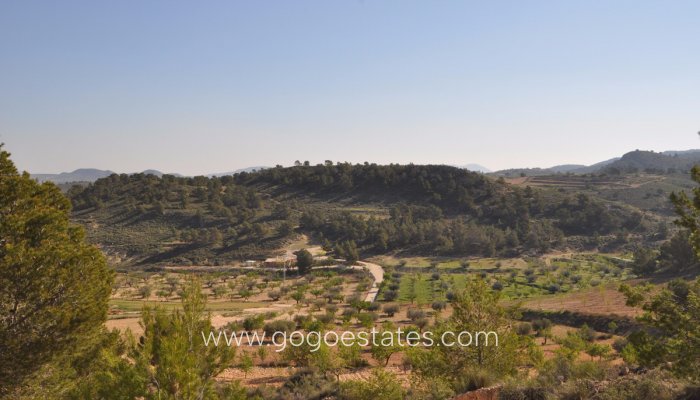 Te koop - Perceel - Land - Jumilla - La Zarza