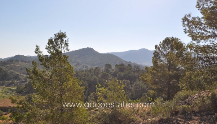 Te koop - Perceel - Land - Jumilla - La Zarza