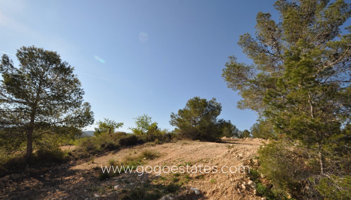 Te koop - Perceel - Land - Jumilla - La Zarza