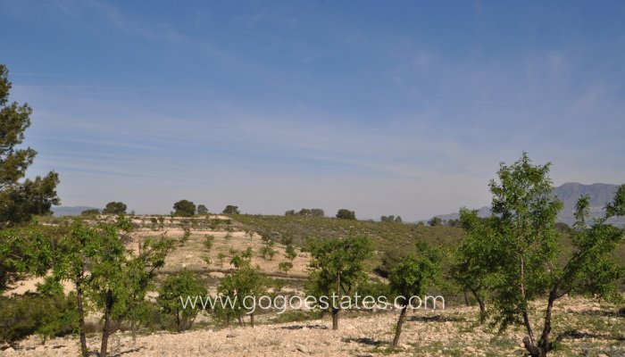 Te koop - Perceel - Land - Jumilla - La Zarza