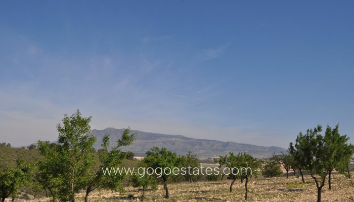 Te koop - Perceel - Land - Jumilla - La Zarza