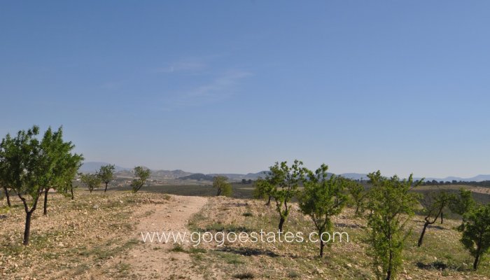 Te koop - Perceel - Land - Jumilla - La Zarza