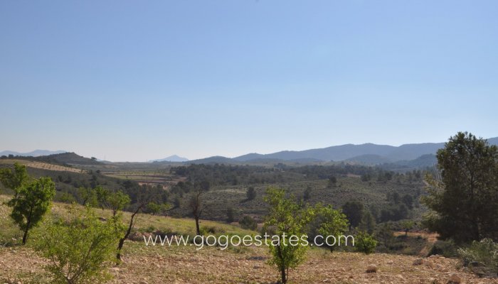 Te koop - Perceel - Land - Jumilla - La Zarza