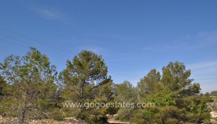 Te koop - Perceel - Land - Jumilla - La Zarza