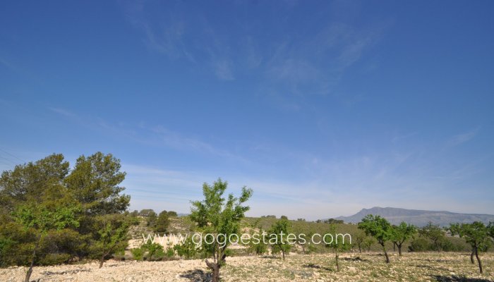 Te koop - Perceel - Land - Jumilla - La Zarza