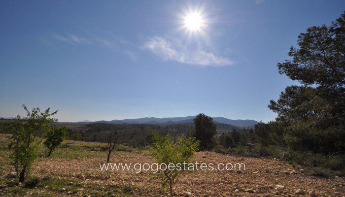 Te koop - Perceel - Land - Jumilla - La Zarza