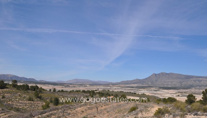 Te koop - Perceel - Land - Jumilla - La Zarza