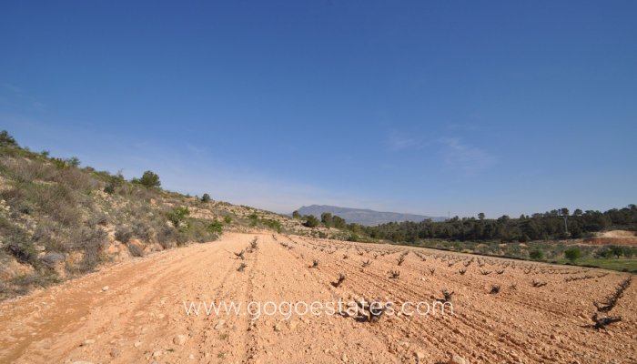 Te koop - Perceel - Land - Jumilla - La Zarza