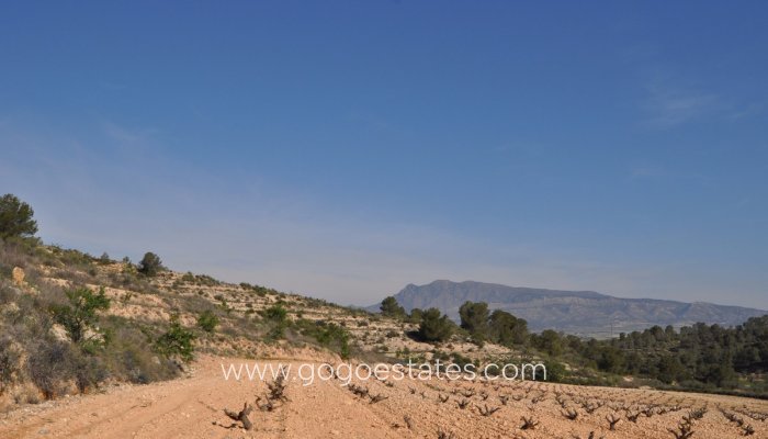 Te koop - Perceel - Land - Jumilla - La Zarza