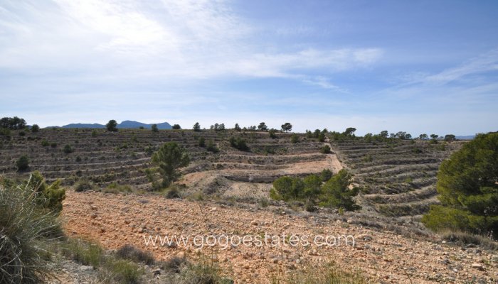 Te koop - Perceel - Land - Jumilla - La Zarza