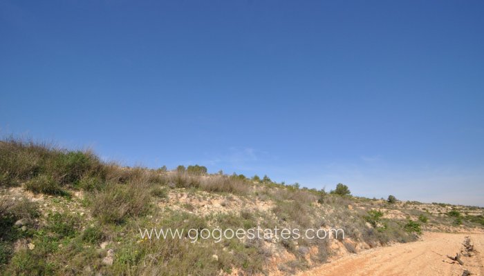 Te koop - Perceel - Land - Jumilla - La Zarza