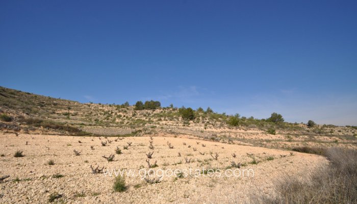 Te koop - Perceel - Land - Jumilla - La Zarza