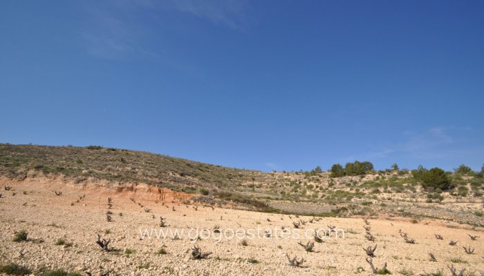 Te koop - Perceel - Land - Jumilla - La Zarza