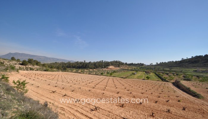 Te koop - Perceel - Land - Jumilla - La Zarza