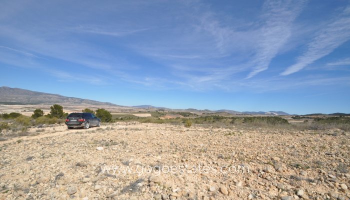 Te koop - Perceel - Land - Jumilla - La Zarza