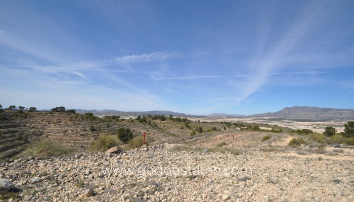 Te koop - Perceel - Land - Jumilla - La Zarza