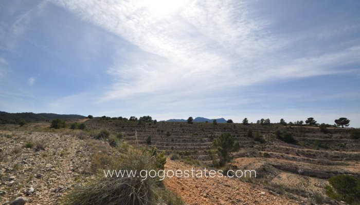 Te koop - Perceel - Land - Jumilla - La Zarza
