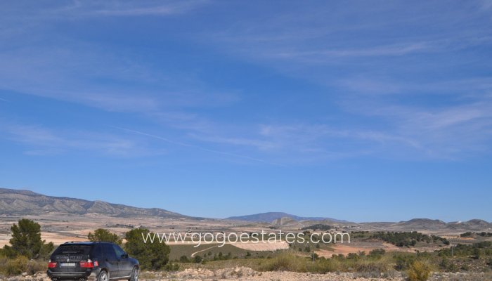 Te koop - Perceel - Land - Jumilla - La Zarza