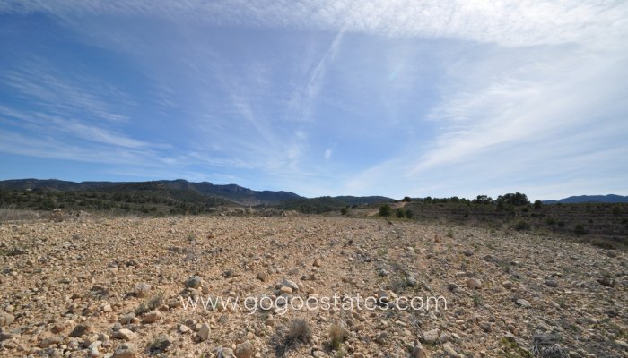 Te koop - Perceel - Land - Jumilla - La Zarza