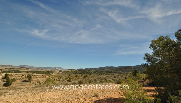Te koop - Perceel - Land - Jumilla - La Zarza