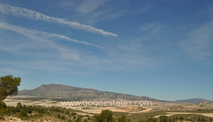 Te koop - Perceel - Land - Jumilla - La Zarza