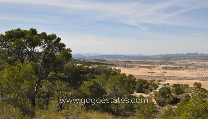 Te koop - Perceel - Land - Jumilla - La Zarza