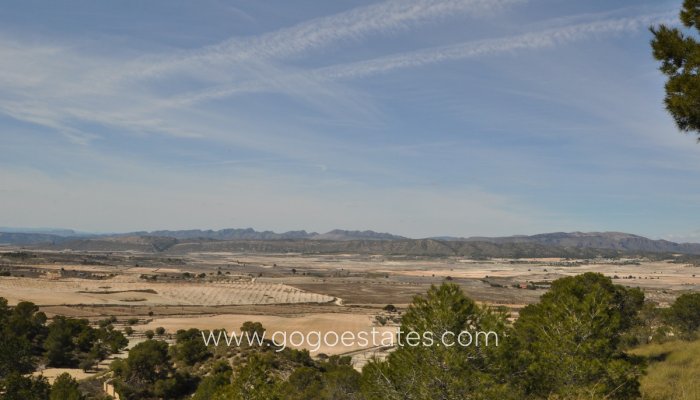 Te koop - Perceel - Land - Jumilla - La Zarza