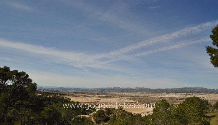 Te koop - Perceel - Land - Jumilla - La Zarza