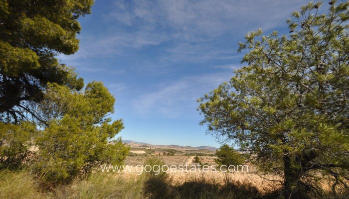 Te koop - Perceel - Land - Jumilla - La Zarza