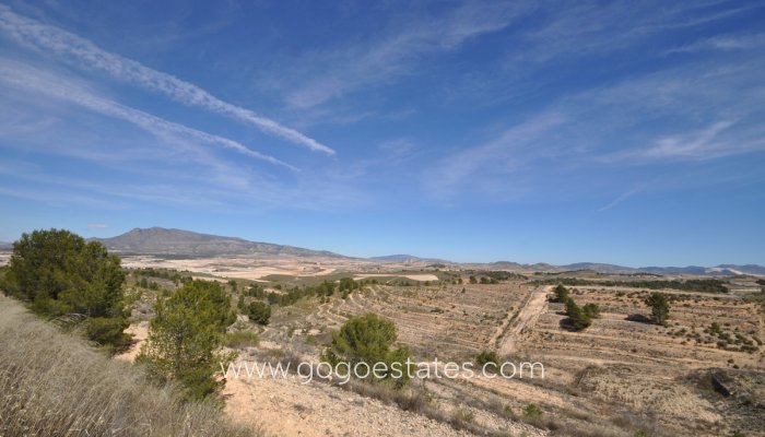 Te koop - Perceel - Land - Jumilla - La Zarza
