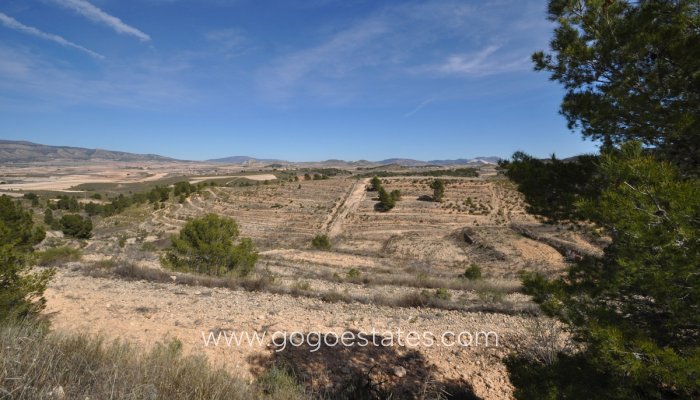 Te koop - Perceel - Land - Jumilla - La Zarza