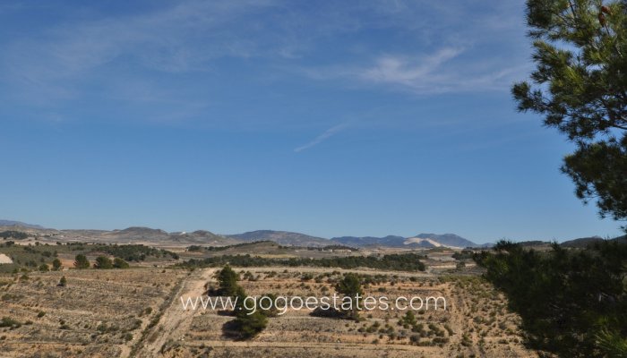 Te koop - Perceel - Land - Jumilla - La Zarza