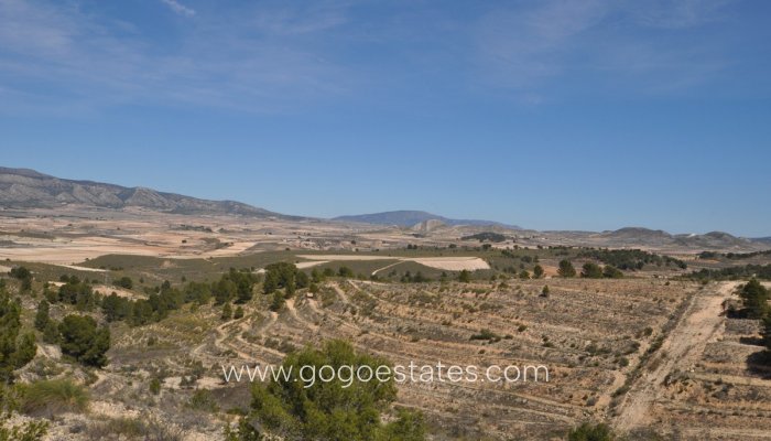 Te koop - Perceel - Land - Jumilla - La Zarza