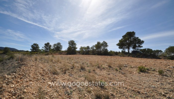 Te koop - Perceel - Land - Jumilla - La Zarza