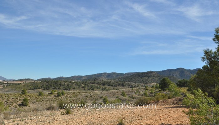 Te koop - Perceel - Land - Jumilla - La Zarza