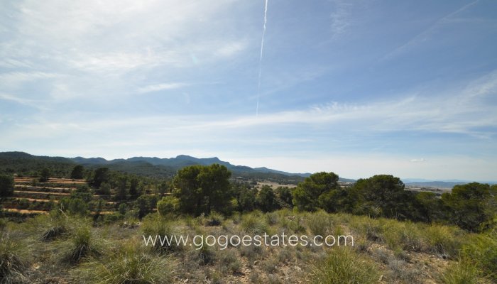Te koop - Perceel - Land - Jumilla - La Zarza