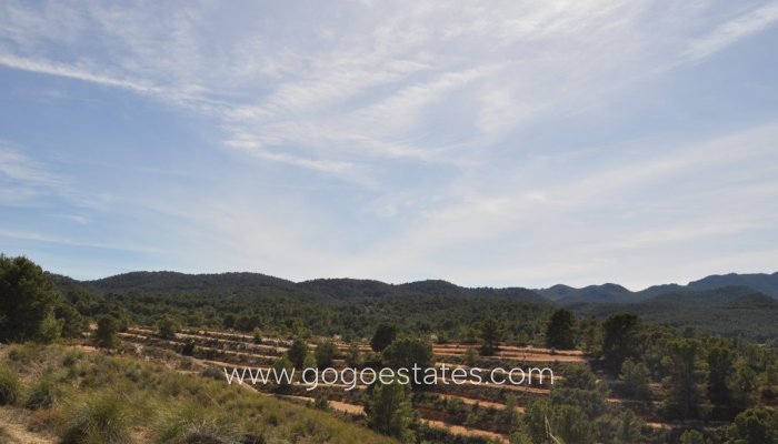 Te koop - Perceel - Land - Jumilla - La Zarza